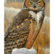 Cross stitch pattern: #2049070