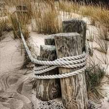 Cross stitch pattern: #2049132