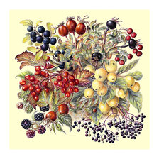 Cross stitch pattern: #2049491