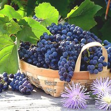 Cross stitch pattern: #2049654