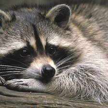 Cross stitch pattern: #2050256