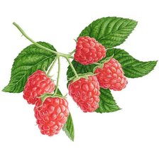 Cross stitch pattern: #2050265