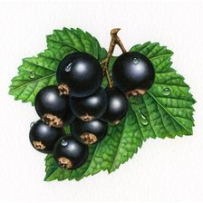 Cross stitch pattern: #2050266