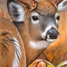 Cross stitch pattern: #2050719