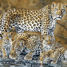 Cross stitch pattern: #2050758