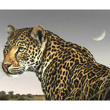 Cross stitch pattern: #2050759