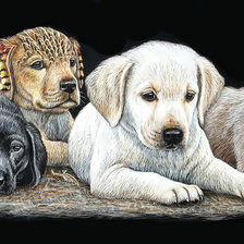 Cross stitch pattern: #2051129