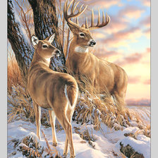 Cross stitch pattern: #2051132