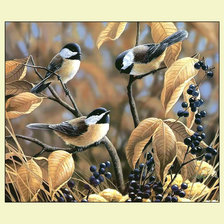 Cross stitch pattern: #2051168