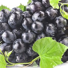 Cross stitch pattern: #2051880