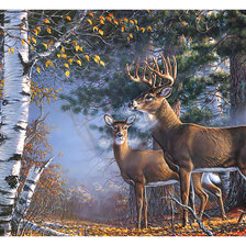 Cross stitch pattern: #2051928