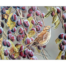 Cross stitch pattern: #2052626