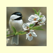 Cross stitch pattern: #2052714