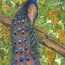 Cross stitch pattern: #2052737