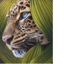 Cross stitch pattern: #2052740