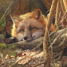 Cross stitch pattern: #2053899