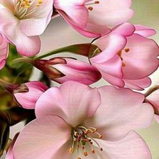 Cross stitch pattern: #2053951