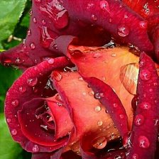 Cross stitch pattern: #2054037