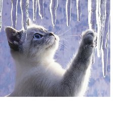 Cross stitch pattern: #2054174