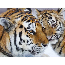 Cross stitch pattern: #2055988