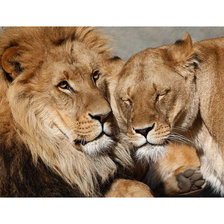 Cross stitch pattern: #2056199