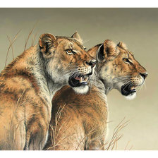 Cross stitch pattern: #2056760