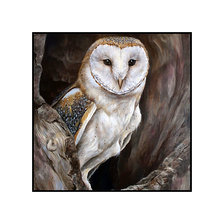 Cross stitch pattern: #2056872