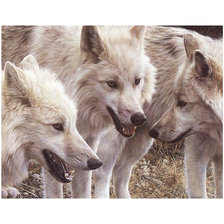 Cross stitch pattern: #2056873