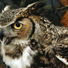 Cross stitch pattern: #2057405