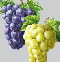 Cross stitch pattern: #2057522