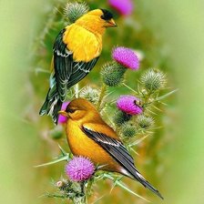 Cross stitch pattern: #2057959