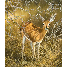 Cross stitch pattern: #2058191