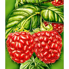 Cross stitch pattern: #2058550