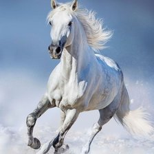 Cross stitch pattern: #2058748