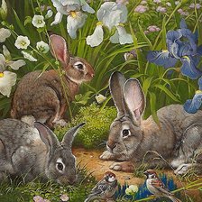 Cross stitch pattern: #2058861