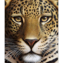 Cross stitch pattern: #2058947