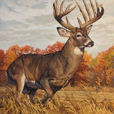 Cross stitch pattern: #2059315