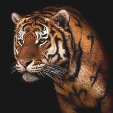 Cross stitch pattern: #2059426