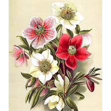 Cross stitch pattern: #2059967