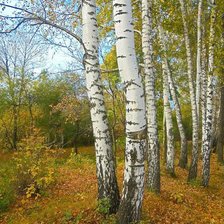 Cross stitch pattern: #2060312