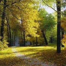 Cross stitch pattern: #2060737