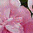 Preview of cross stitch pattern: #2061784