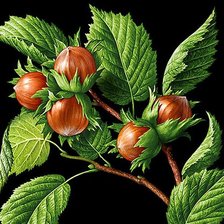 Cross stitch pattern: #2062111