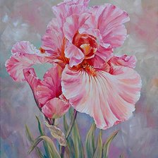 Cross stitch pattern: #2062157