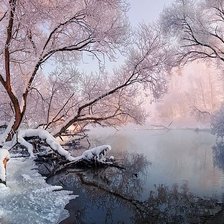 Cross stitch pattern: #2062397