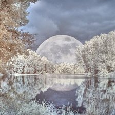 Cross stitch pattern: #2062405