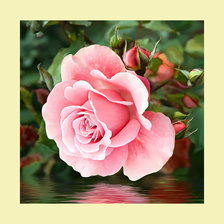 Cross stitch pattern: #2062515