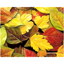 Cross stitch pattern: #2062619