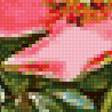 Preview of cross stitch pattern: #2063044