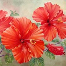 Cross stitch pattern: #2063159